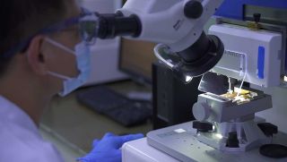 Microscope inspection