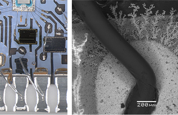 Gas Phase Corrosion Case Study